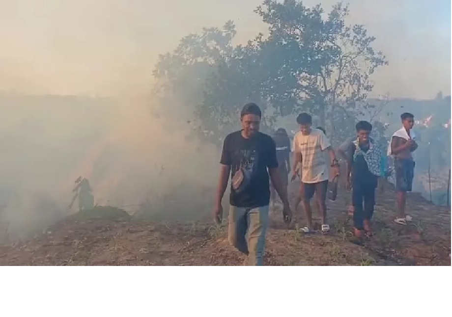 DAERAH RAWAN: Karhutla yang sempat terjadi di Kota Tarakan. (AGUS DIAN ZAKARIA/RADAR TARAKAN) 