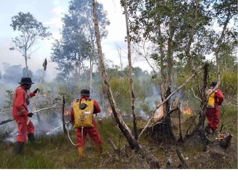SIAGA: Petugas saat memadamkan api di Jl Guntung Harapan, Kelurahan Guntung Manggis, Kecamatan Landasan Ulin pada 2025 lalu. BPBD kembali bersiap hadapi ancaman musim kemarau tahun ini. 