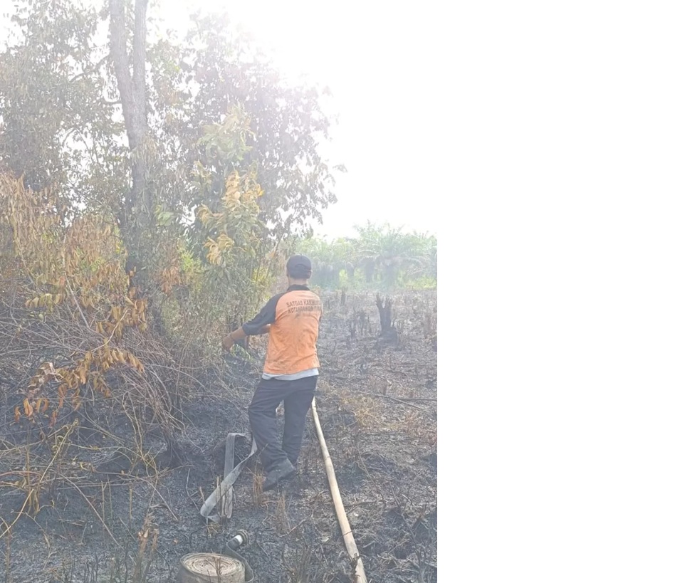 Pemadalam karhan di Baamang, Kabupaten Kotim, Rabu (25/3) (istimewa/BPBD Kotim ) 