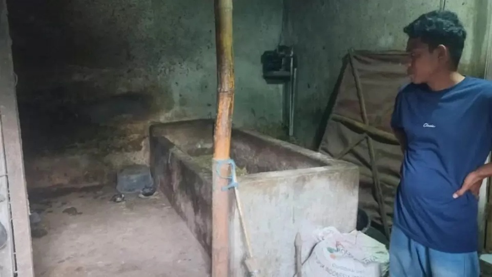 PENCURIAN: Muhammad Saleh saat menunjukkan lokasi kendang sapi dicuri miliknya. FOTO : INNEKE AGUSTIN/JAWA POS/RADAR BROMO 