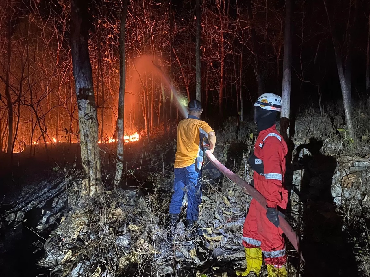 BMKG Balikpapan memperingatkan potensi kebakaran hutan dan lahan (karhutla) di Kaltim setelah terdeteksi 171 titik panas di enam wilayah akibat cuaca panas pasca Idul Fitri.(IST)