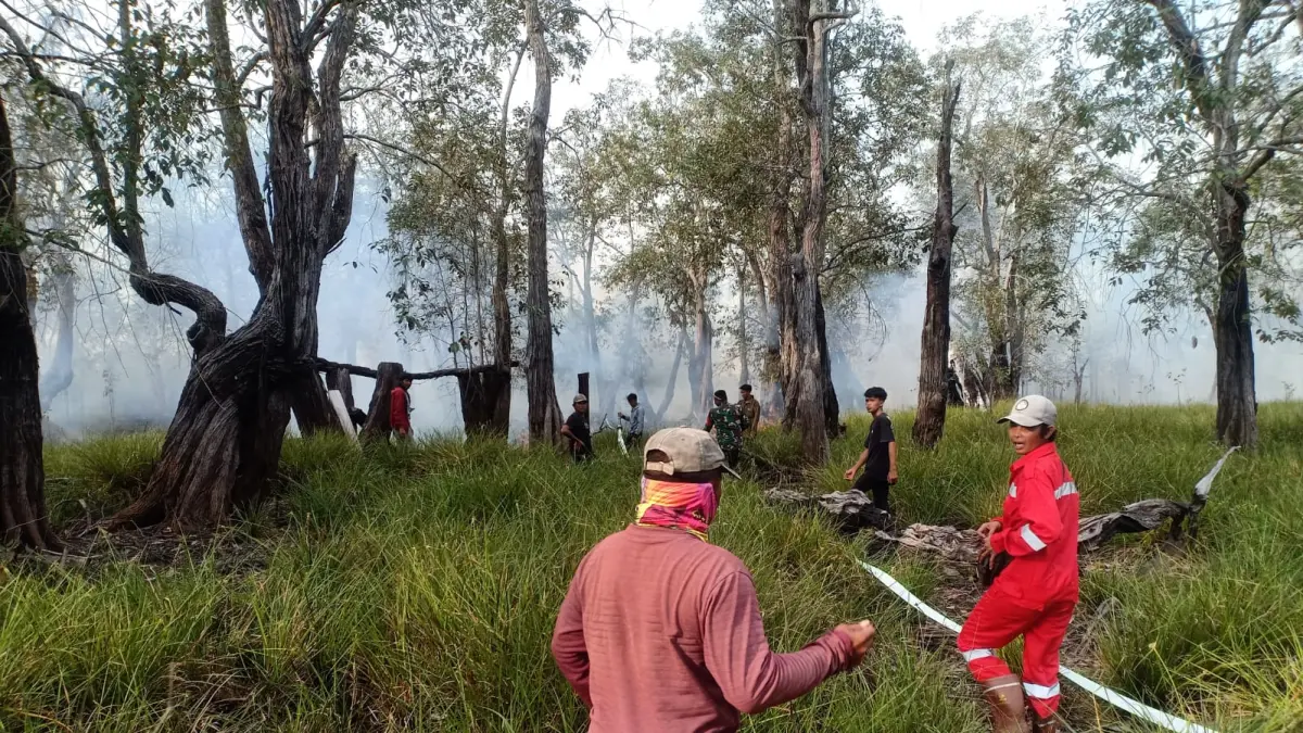Kebakaran hutan dan lahan di Kabupaten Kutai Kartanegara (Istimewa)