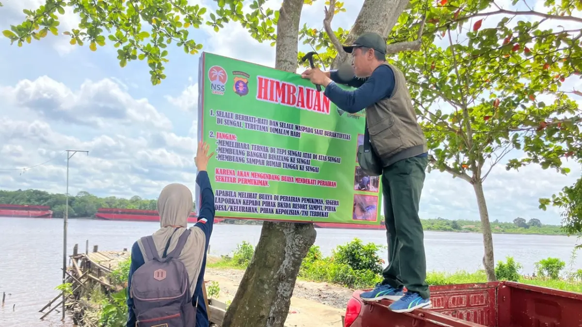 Petugas BKSDA memasang papan imbauan keberadaan buaya di pinggiran sungai.

