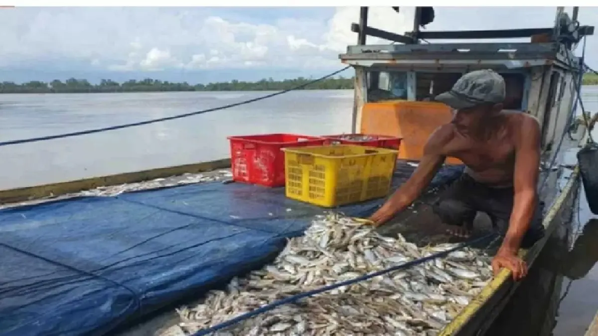 Sejak lama masalah BBM menghantui nelayan pesisir Berau. Apalagi dengan kondisi saat ini, berpengaruh pada produksi nelayan.