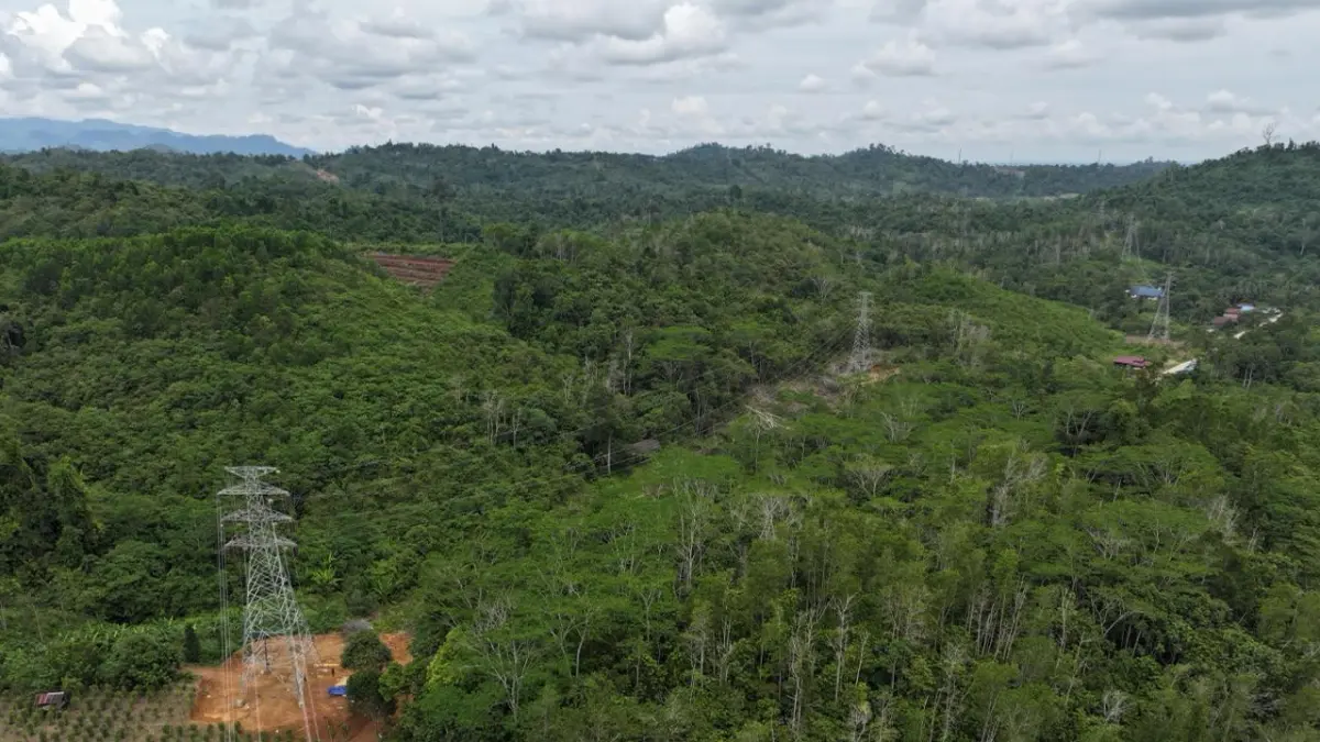 Jalur transmisi SUTT 150 kV Redeb-Talisayan di Berau. PLN terus berkolaborasi dengan BPN untuk memperkuat legalitas hukum lahan tapak tower melalui proses pemetaan yang akurat.