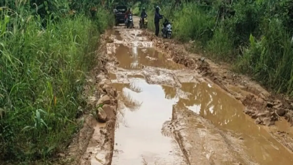 Kondisi jalan di Kecamatan Muara Kaman yang rusak (Istimewa)