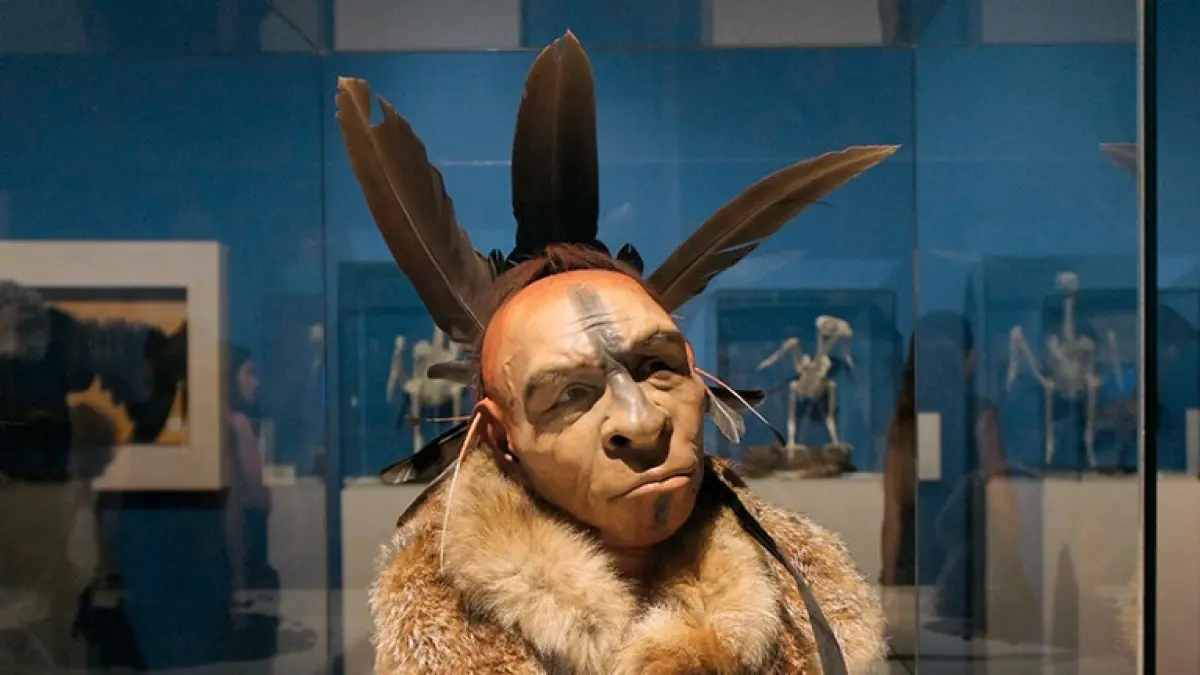 Manusia Neanderthal,