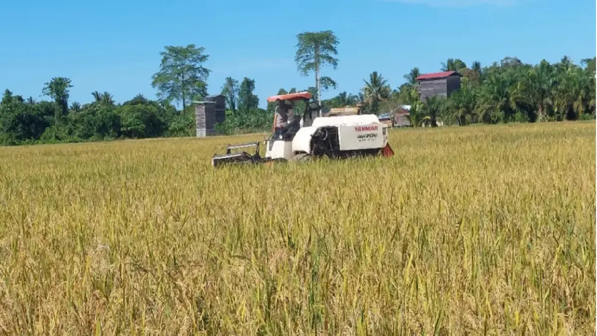 Salah satu kawasan pertanian di wilayah Bulungan. FOTO: DOK PEMKAB BULUNGAN