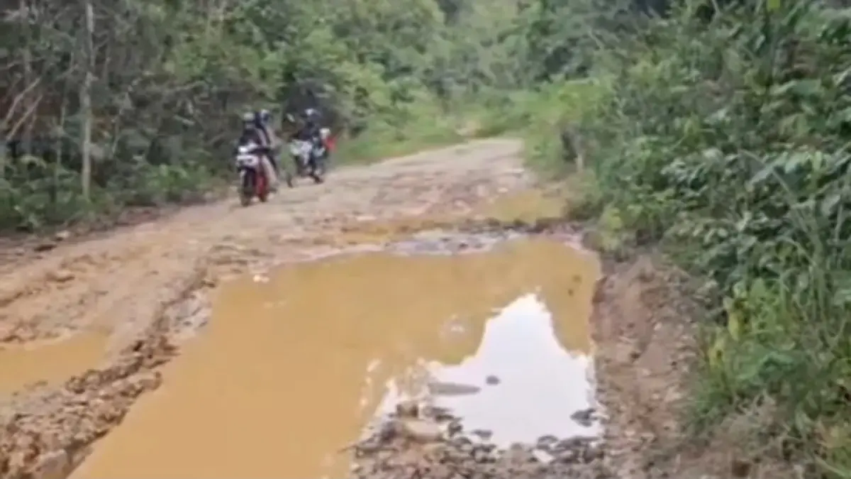 Kondisi jalan negara di daerah perbatasan Indonesia- Malaysia yang ada di Kecamatan Puring Kencana makin parah. (DOK WARGA)