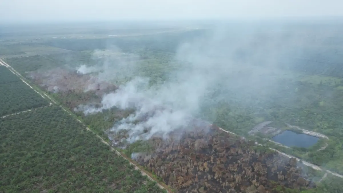 Ilustrasi kebakaran lahan di Kalteng.