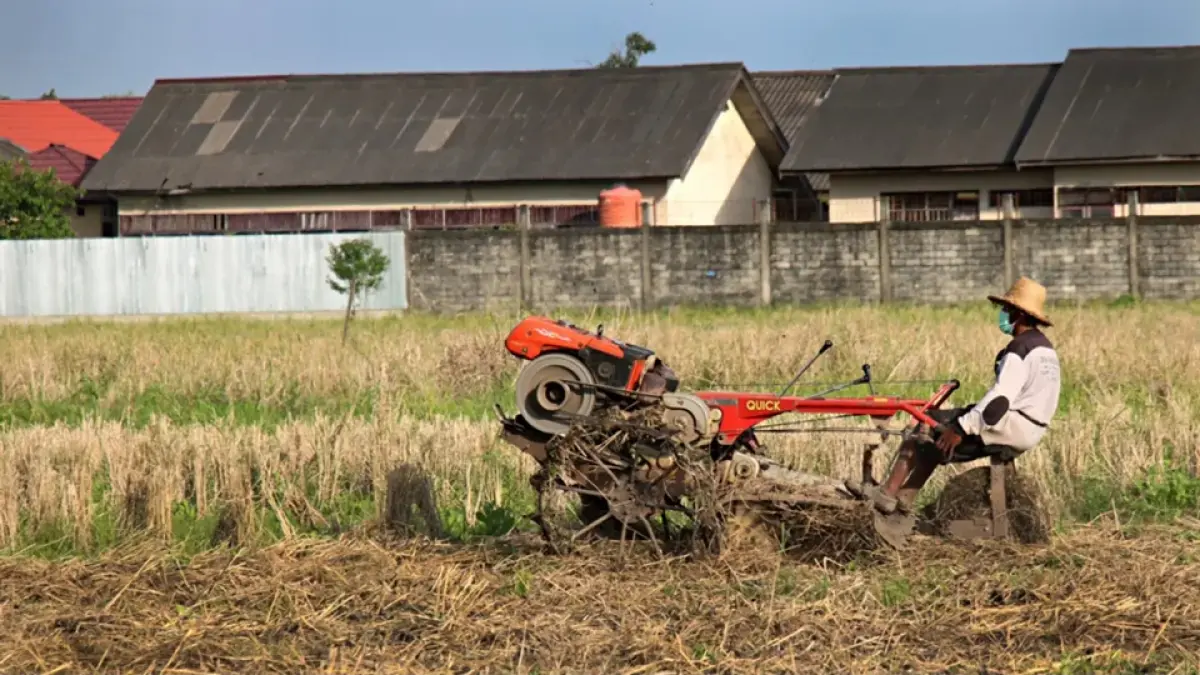 Seorang petani membajak sawahnya yang mulai terancam alih fungsi lahan menjadi permukiman permukiman dengan mesin traktor di Desa Tajau Landung Kecamatan Martapura Barat, Kabupaten Banjar. (DISTAN BANJAR)