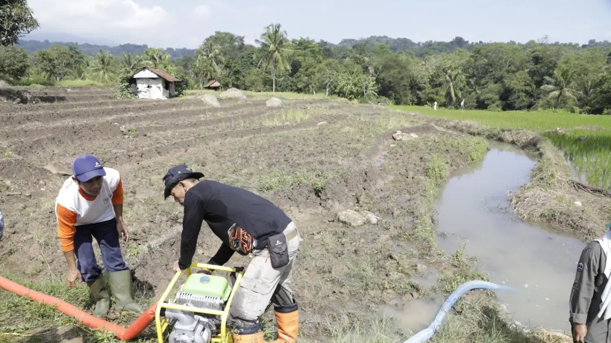 
POMPA DAN PUPUK: Kementan RI memastikan kesiapan menghadapi potensi kemarau panjang 2026 dengan langkah mitigasi yang terukur dan berbasis kondisi lapangan. 