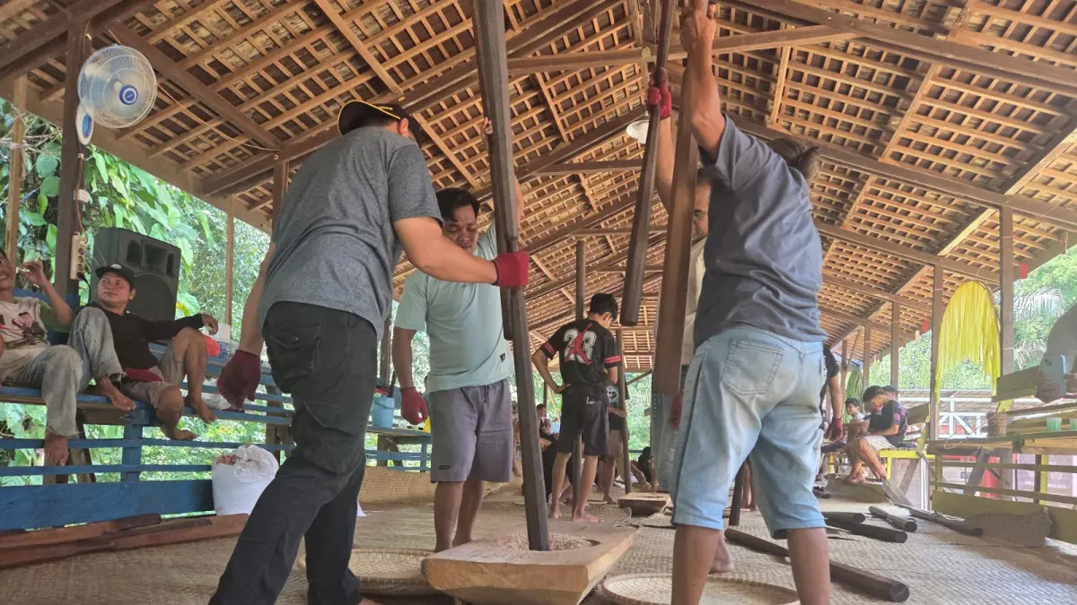 Prosesi nutuk beham di Desa Kedang Ipil (Elmo/Prokal.co)