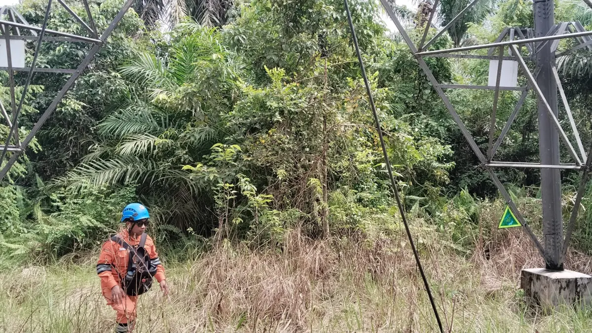 Petugas PLN ULTG Barabai melakukan patroli jalur transmisi 150kV Tanjung – Komam 2 di Barabai, Kalimantan Selatan, Senin (13/04), untuk menelusuri titik gangguan pasca cuaca ekstrem.