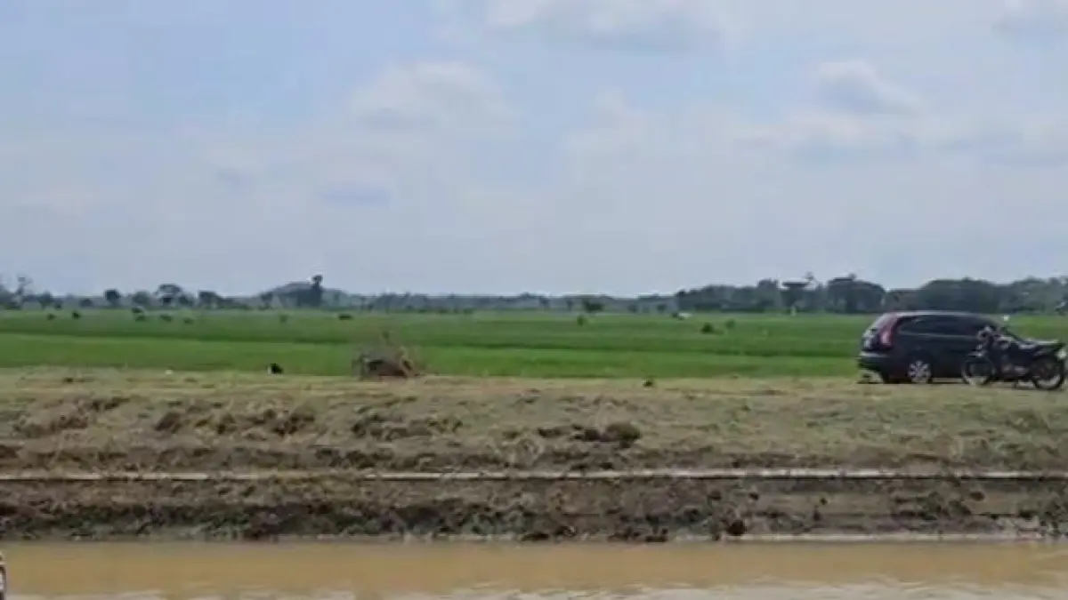 

TANTANGAN: Intervensi pompanisasi untuk lahan pertanian di Kabupaten Sukoharjo, Jateng. 
