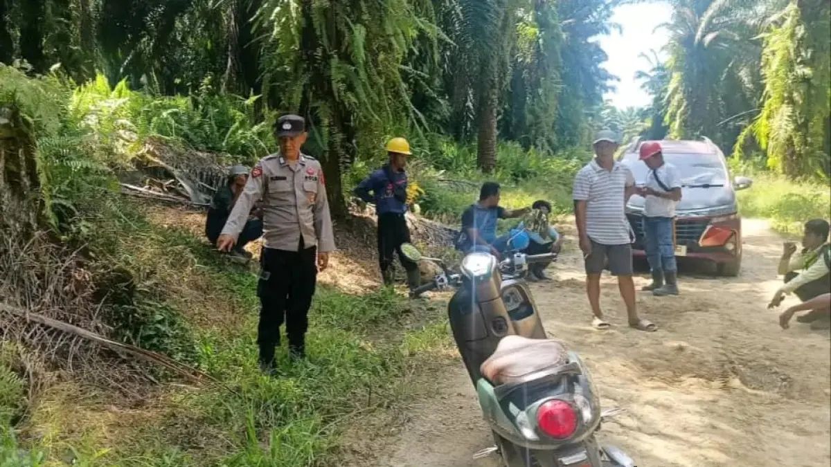 Polisi menunjukkan lokasi kejadian penganiayaan berat terhadap seorang perempuan di area perkebunan perusahaan di Kecamatan Segah. (foto: ist)