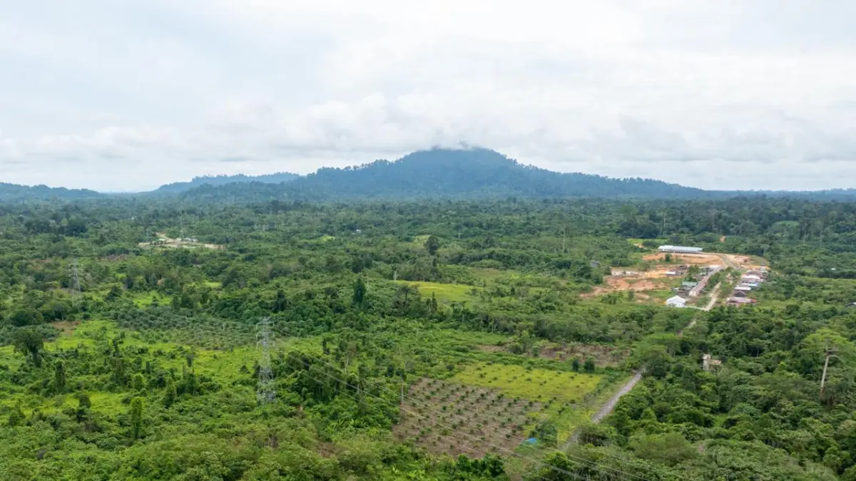 Ilustrasi bentangan jaringan kelistrikan PLN di Kabupaten Paser sebagai bagian dari aset yang terus diperkuat legalitas dan kepastian hukumnya melalui tertib administrasi pertanahan.
