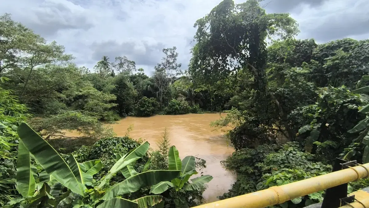  Kondisi aliran Sungai Balangan, Rabu (20/5/2026), terpantau berstatus Waspada. (M Dirga / Radar Banjarmasin)