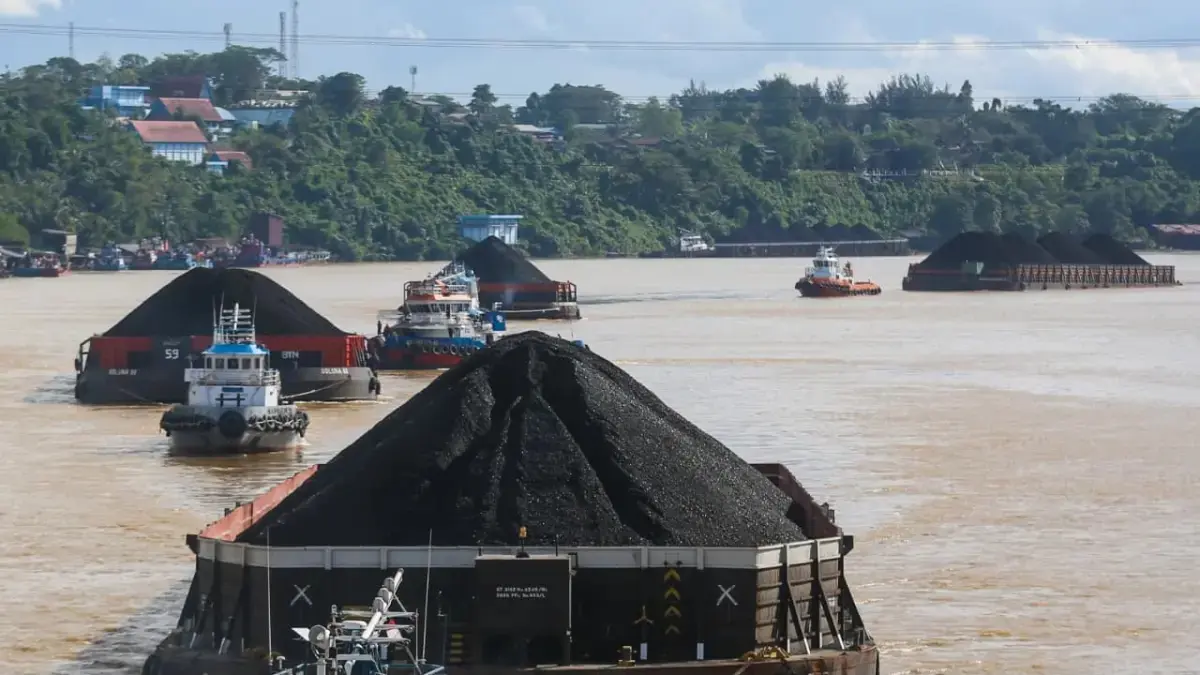Deretan ponton yang membawa batu bara di Sungai Mahakam.