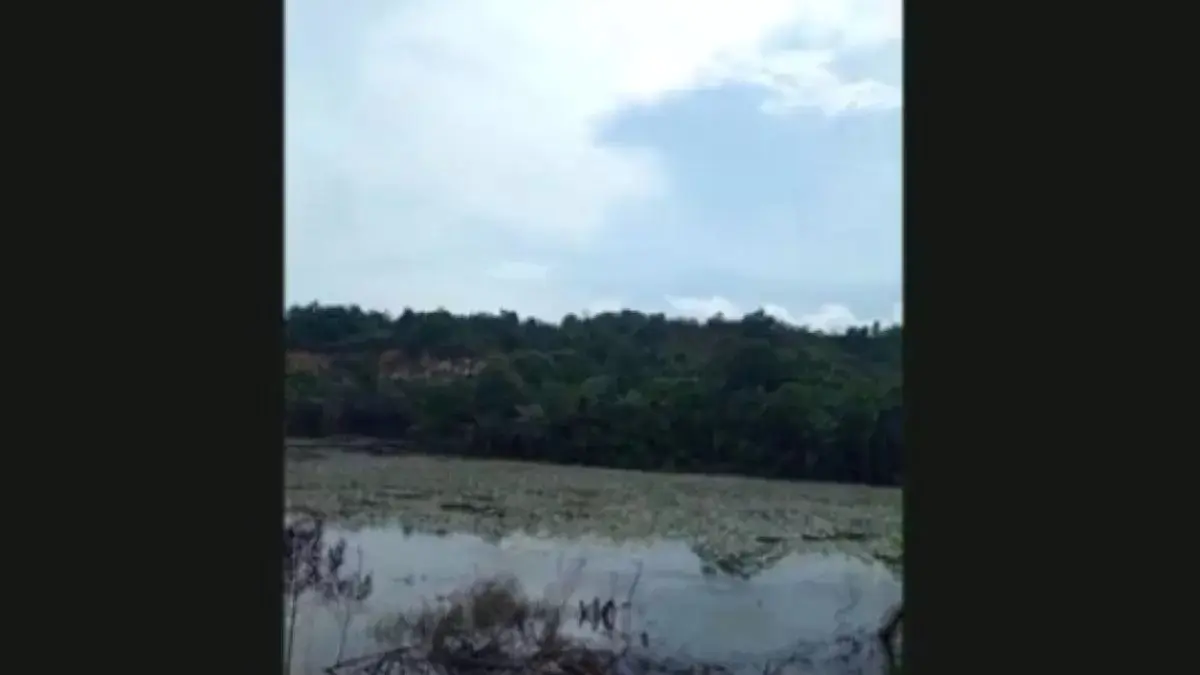 Tempat kejadian perkara.