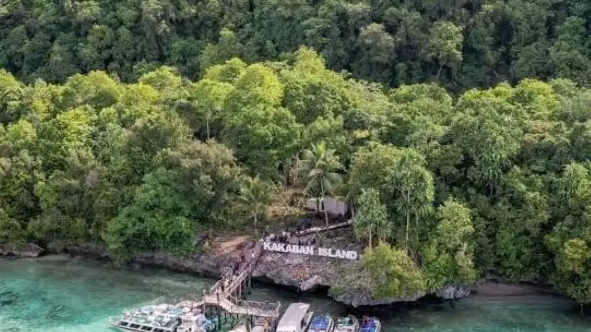 Pulau Kakaban, salah satu destinasi wisata unggulan Berau, dinilai minim pengawasan sehingga rawan praktik pungutan liar dan ancaman kerusakan ekosistem.
