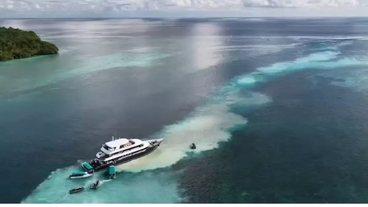 Kapal wisata jenis Live on Board (LOB) kandas di kawasan konservasi Channel Point Tornado Barracuda, Pulau Maratua. Insiden ini memicu kekhawatiran terhadap potensi kerusakan terumbu karang.