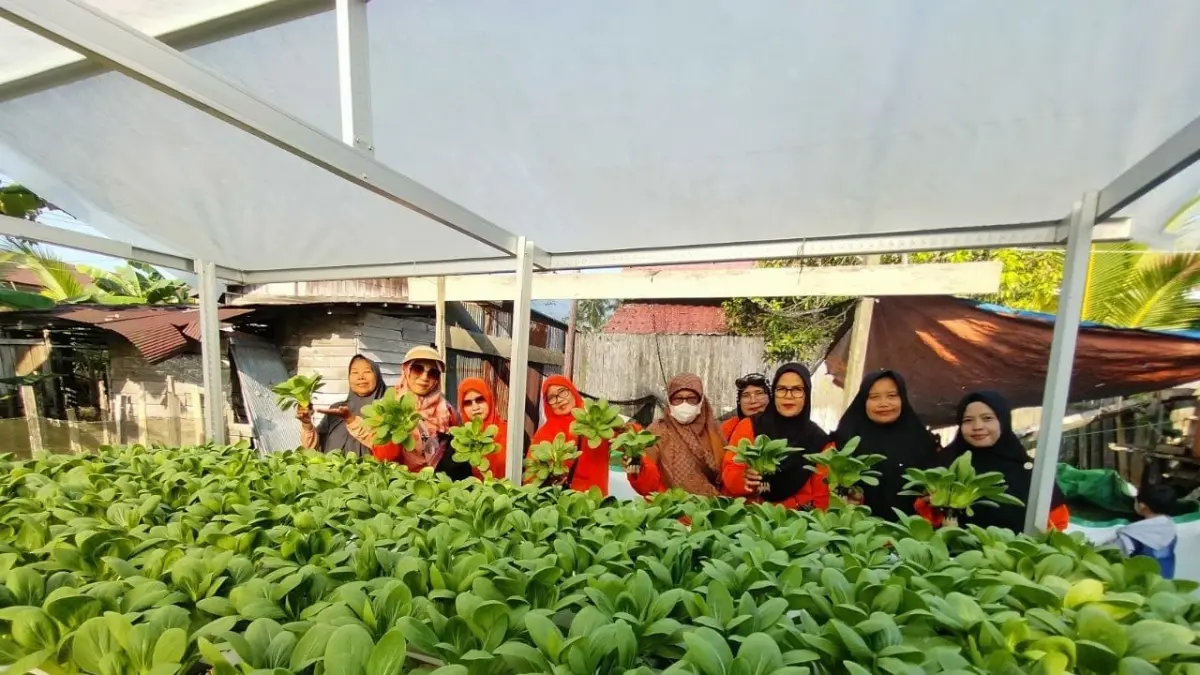 PT PLN (Persero) Unit Induk Distribusi Kalimantan Timur dan Kalimantan Utara (UID Kaltimra) terus memastikan keberlanjutan program Tanggung Jawab Sosial dan Lingkungan (TJSL) melalui Program Kebun Gizi Lansia di Kelurahan Sempaja Utara, Samarinda