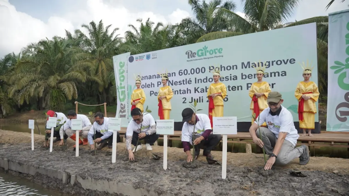  Upaya pemulihan ekosistem pesisir di Kabupaten Paser, Kaltim dilakukan Nestlé Indonesia berkolaborasi dengan Pemerintah Kabupaten Paser dan Yayasan Hutan Tropis 
