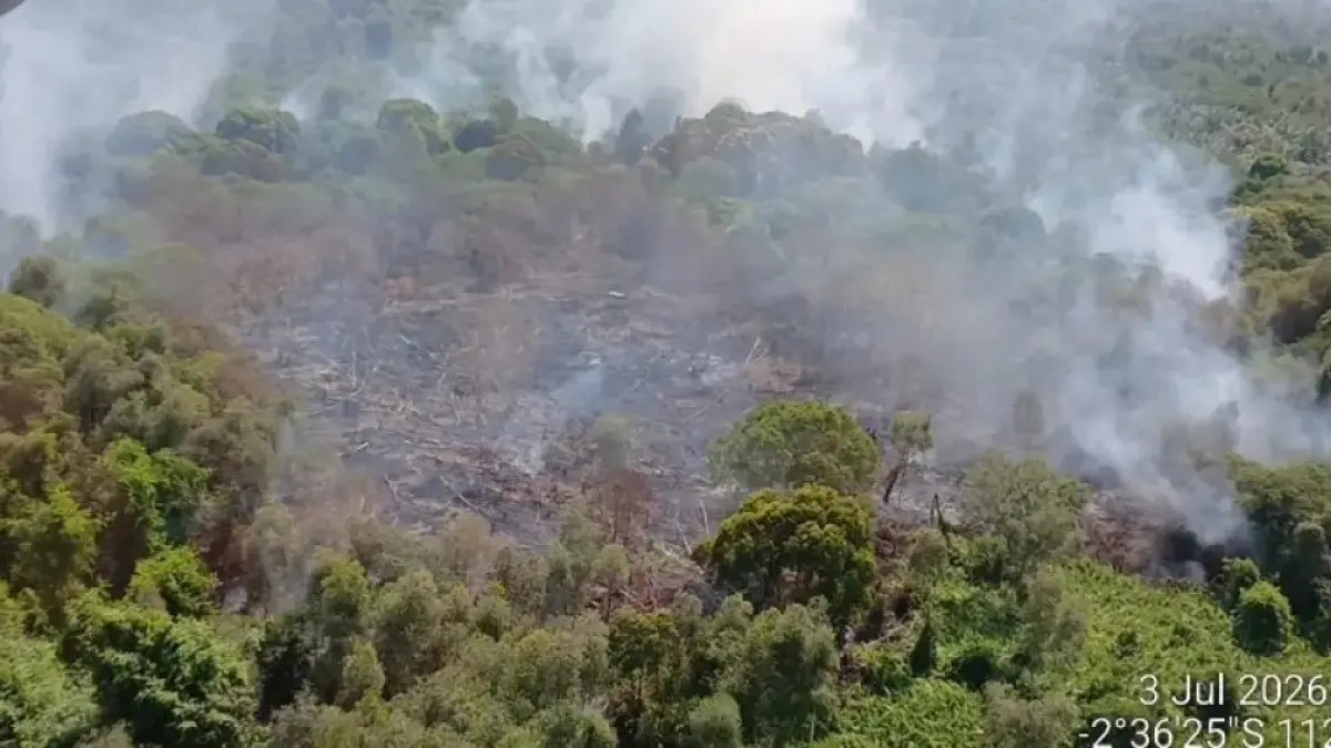 Kebakaran hutan dan lahan.