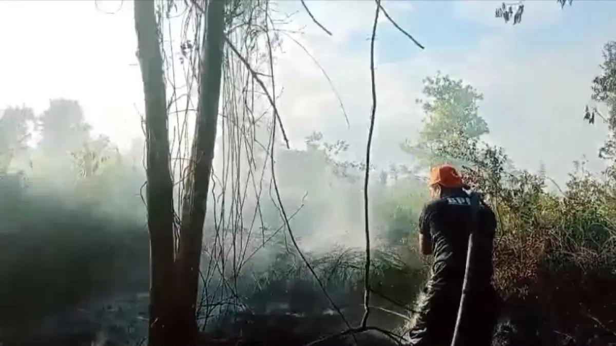 Kebakaran lahan di lingkar utara Sampit.(BPBD)