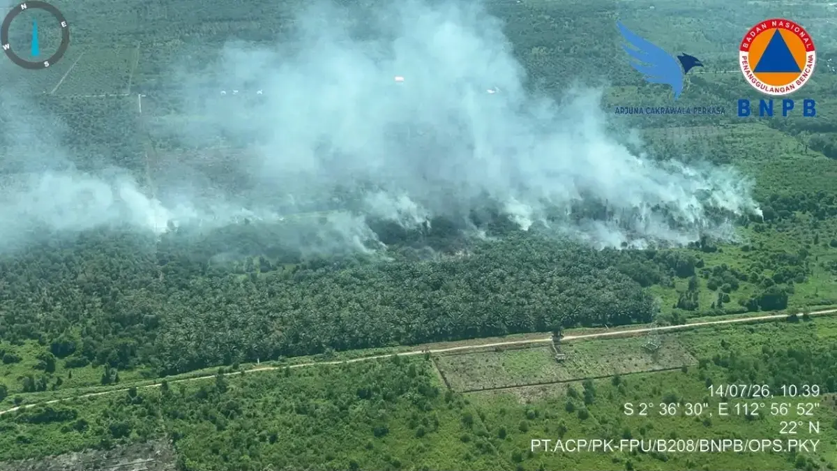 Kebakaran lahan di Kotim.(BPBD)