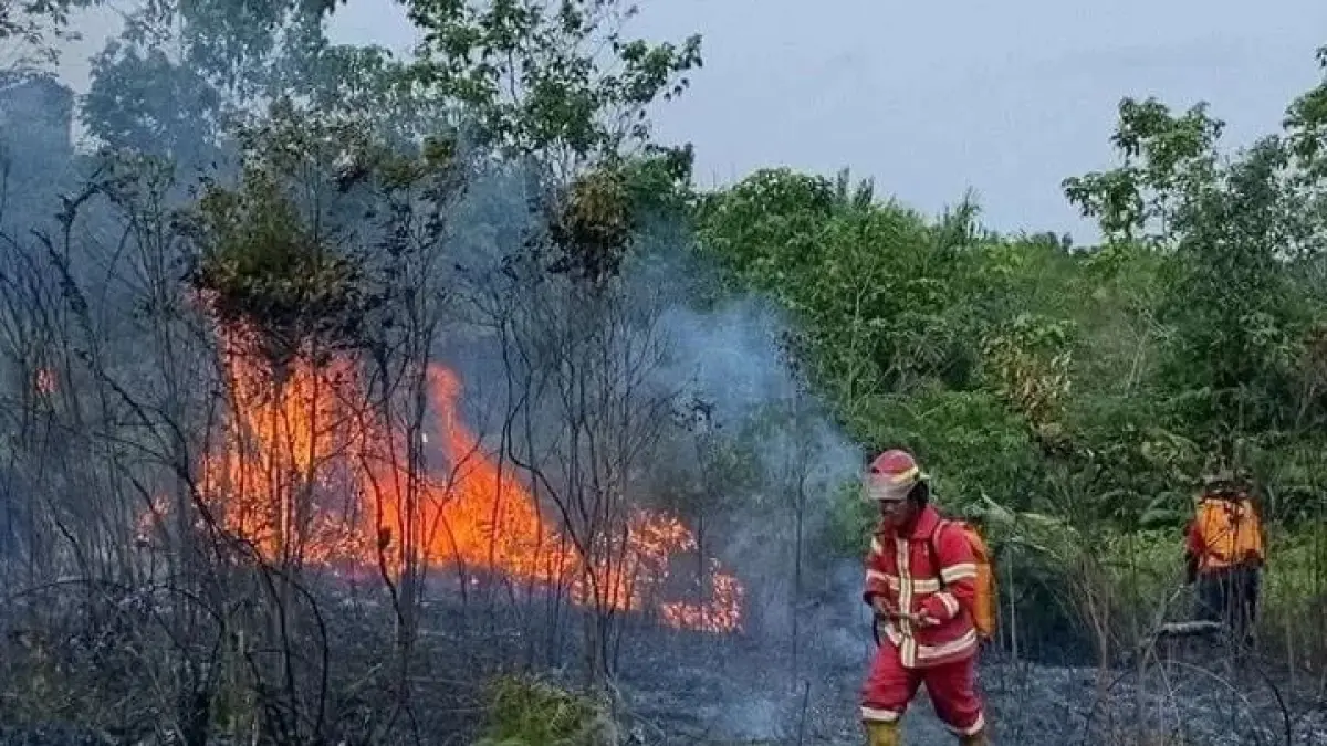 Kebakaran lahan di Samarinda.
