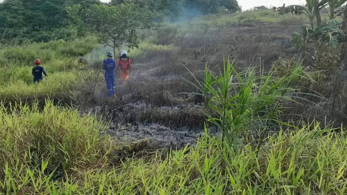  Petugas BPBD Kota Samarinda bersama relawan berjibaku memadamkan kebakaran lahan di kawasan Samarinda Utara. (ist)