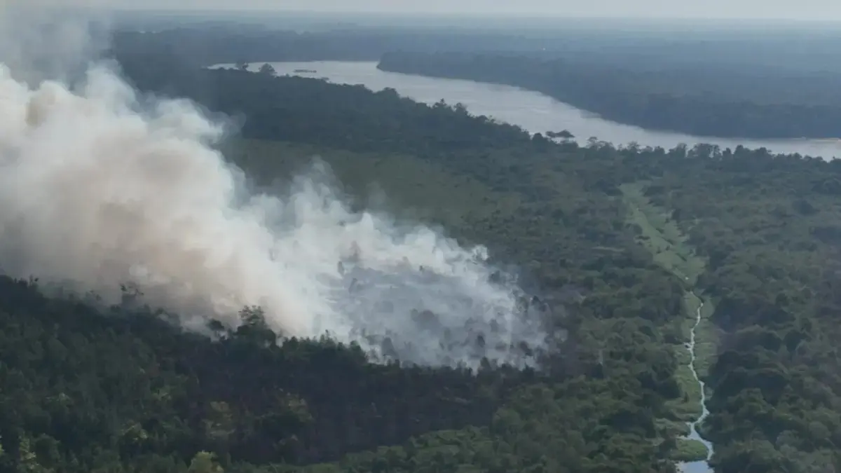 Karhutla yang melanda Kawasan gambut di Desa Tumbang Nusa, Kabupaten Pulang Pisau.(Humas Polda)