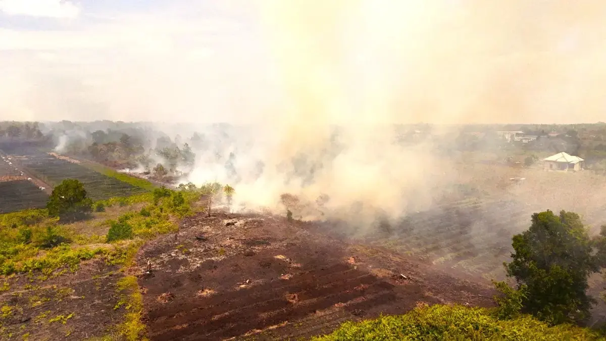 Kebakaran lahan di kawasan gambut Kalimantan dengan kepulan asap dan petugas pemadam. (WALHI)