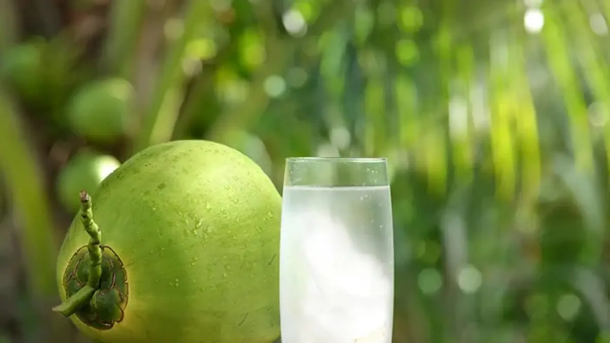 Ilustrasi air kelapa.