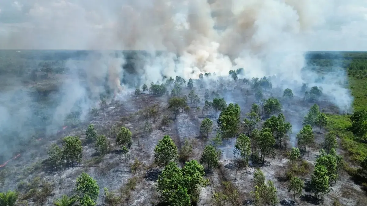 Karhutla di Kalteng.