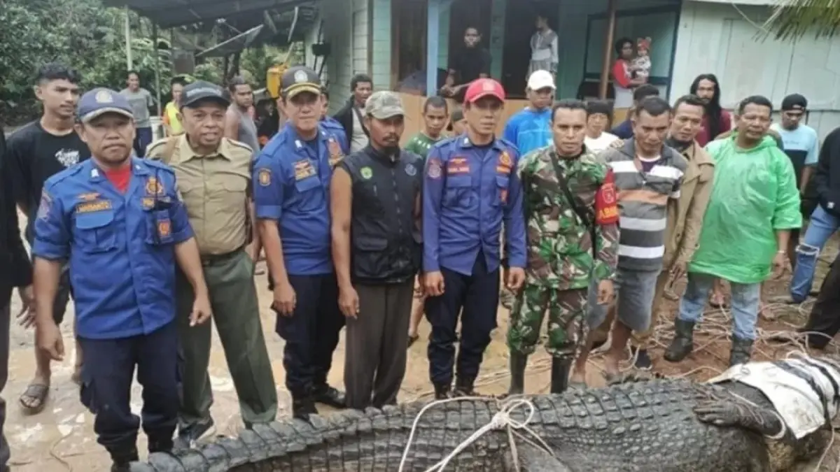  Konflik manusia dan buaya di Berau kian mengkhawatirkan. Keterbatasan sara pendukung, penangkaran buaya misalnya, menjadi salah satu PR dalam penanganan lanjutan.