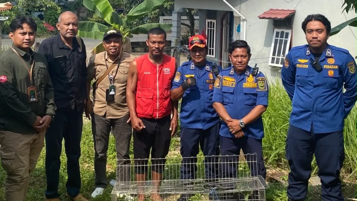 DIEVAKUASI: Beruang madu saat dievakuasi BKSDA dari salah seorang warga di Kecamatan Tanjung Redeb, Kabupaten Berau, Rabu, 5 Agustus 2026. ARTA KUSUMA YUNANDA/BERAU POST