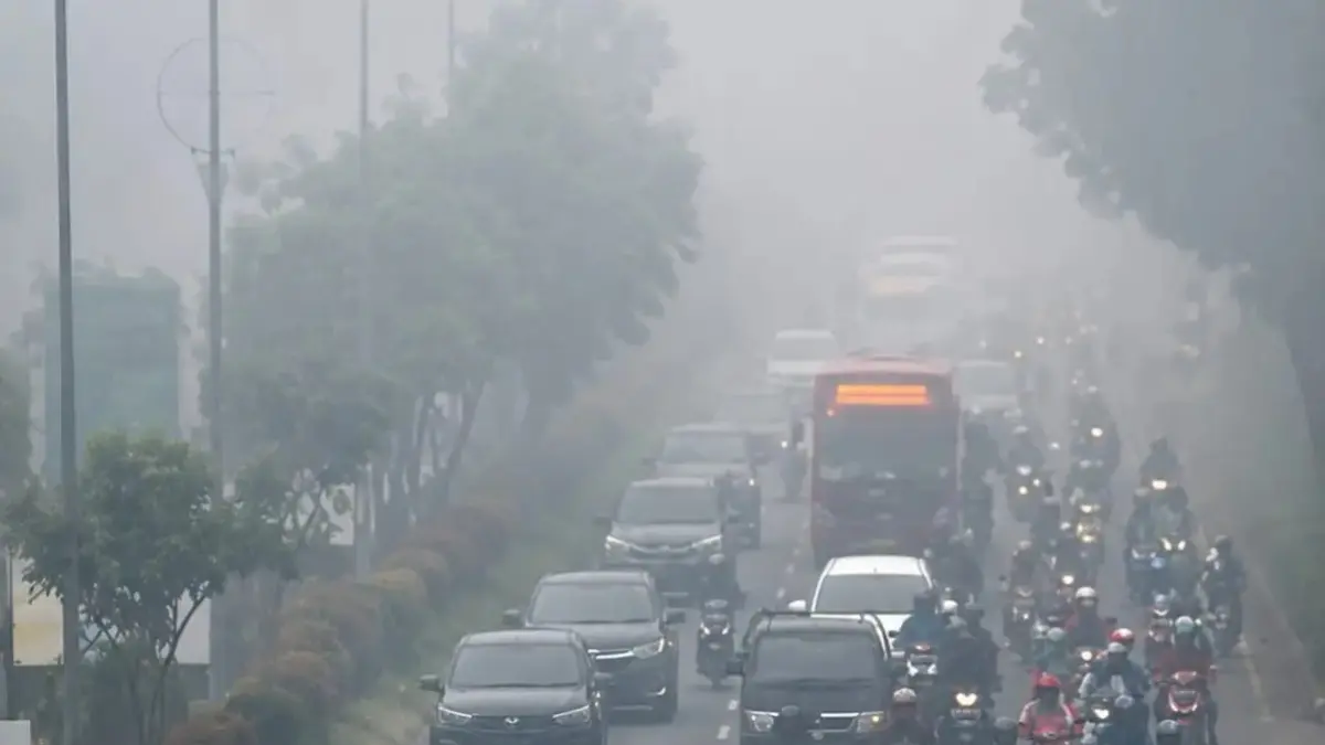 Kabut asap. 