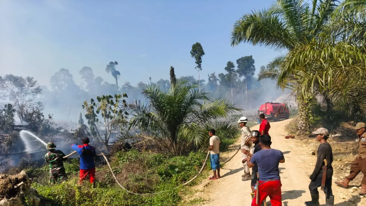 TANGANI: Disdamkarmat, BPBD dan tim gabungan masih terus berjibaku memadamkan karhutla yang terjadi dibeberapa titik yang ada di Kabupaten Berau. ARTA KUSUMA YUNANDA/KP

