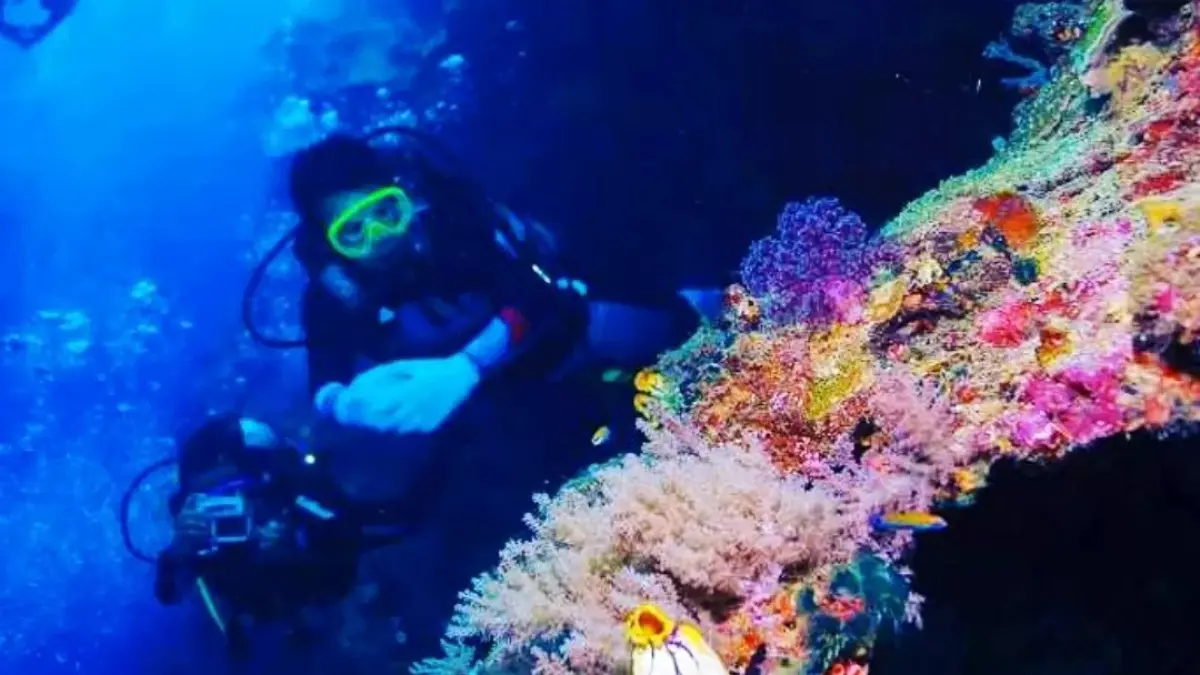 Seiring meningkatnya kunjungan wisata bahari di Kabupaten berau, Pemkab Berau siapkan regulasi untuk antisipasi kerusakan ekosistem dan terumbu karang.