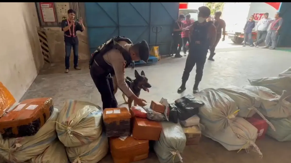 Upaya seorang pria berinisial AN (31) menyamarkan pengiriman ganja ke Balikpapan, Kalimantan Timur, berakhir gagal. Paket berisi ganja yang dikemas bersama pakaian basah itu terendus anjing pelacak milik Kepolisian Daerah Kalimantan Timur dan Bea Cukai.
