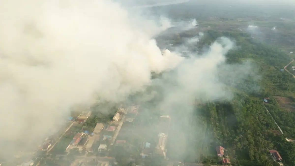 Pemandangan dampak Karhutla di Kelurahan Pendingin, Sangasanga (Istimewa)