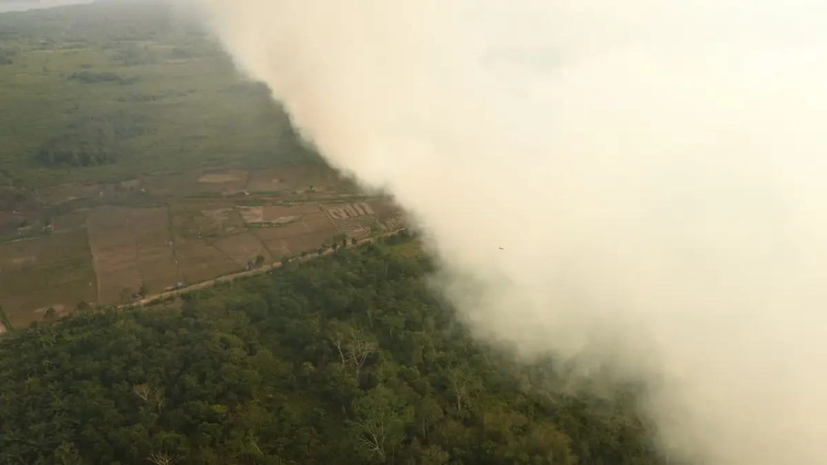 Karhutla di Kecamatan Sangasanga, Kukar akibat kemarau berkepanjangan (Istimewa)