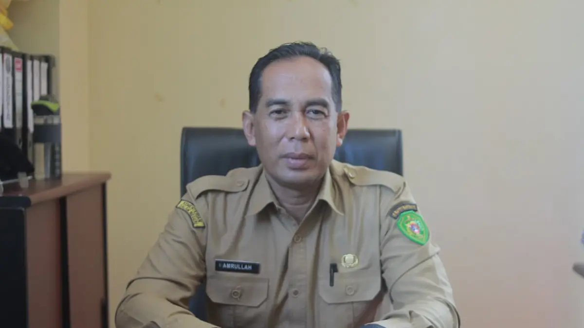 Kepala DPMPTSP PPU Amrullah 