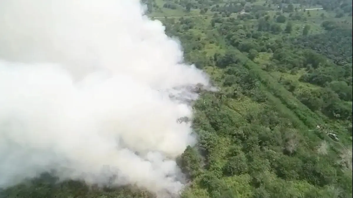 Karhutla di Selimau.