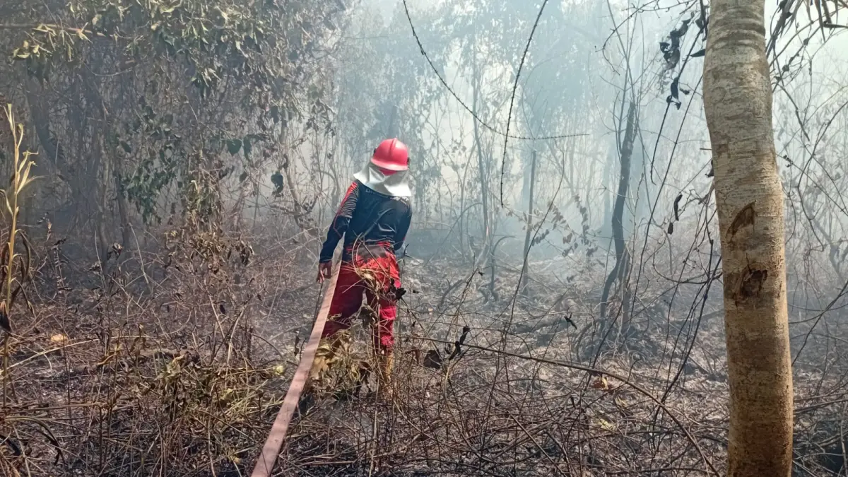 Karhutla di Samarinda.