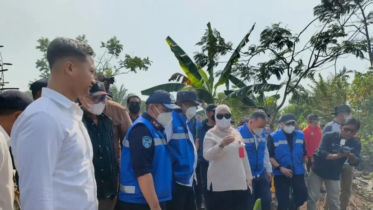 MENINJAU: Menteri Lingkungan Hidup, M. Jumhur Hidayat saat meninjau lokasi karhutla di Jalan Kurnia Ujung RT 6/III, Kelurahan Landasan Ulin Utara, Kota Banjarbaru (Sheilla/Radar banjarmasin) 