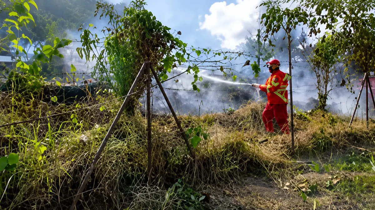 Kebakaran lahan di sekitar kampus Unmul.